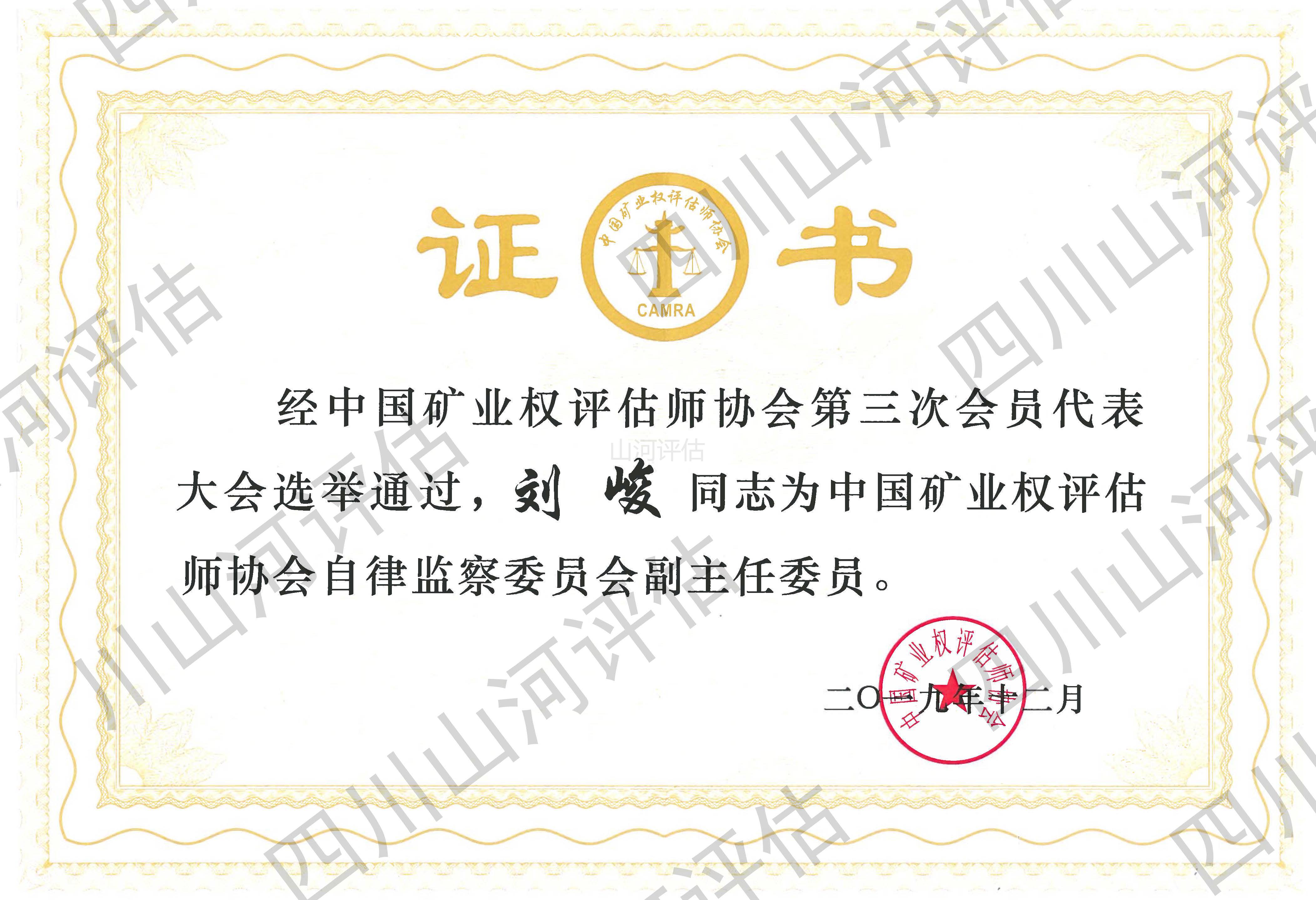 矿业权评估师协会监察委委员