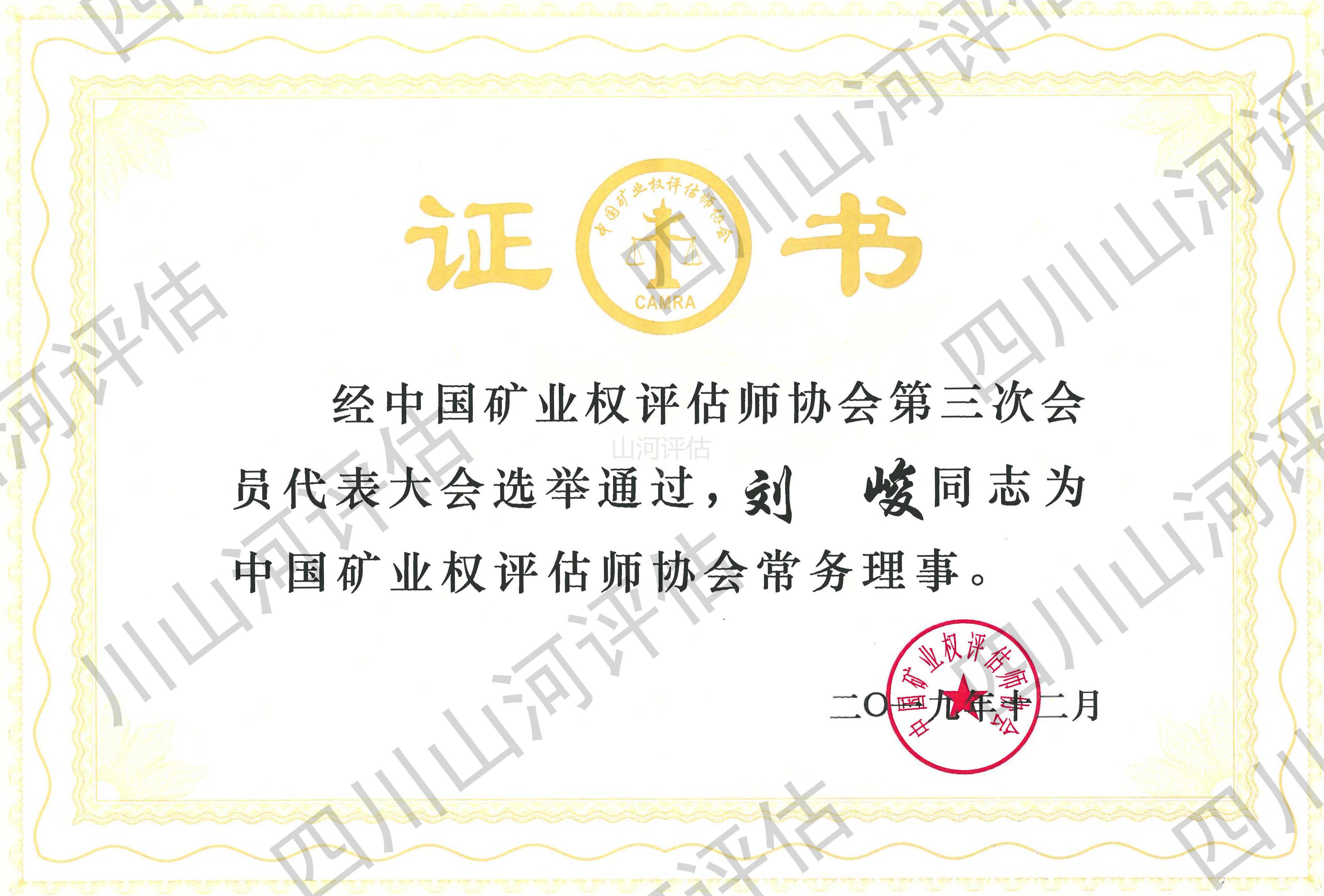 矿业权评估师协会常务理事