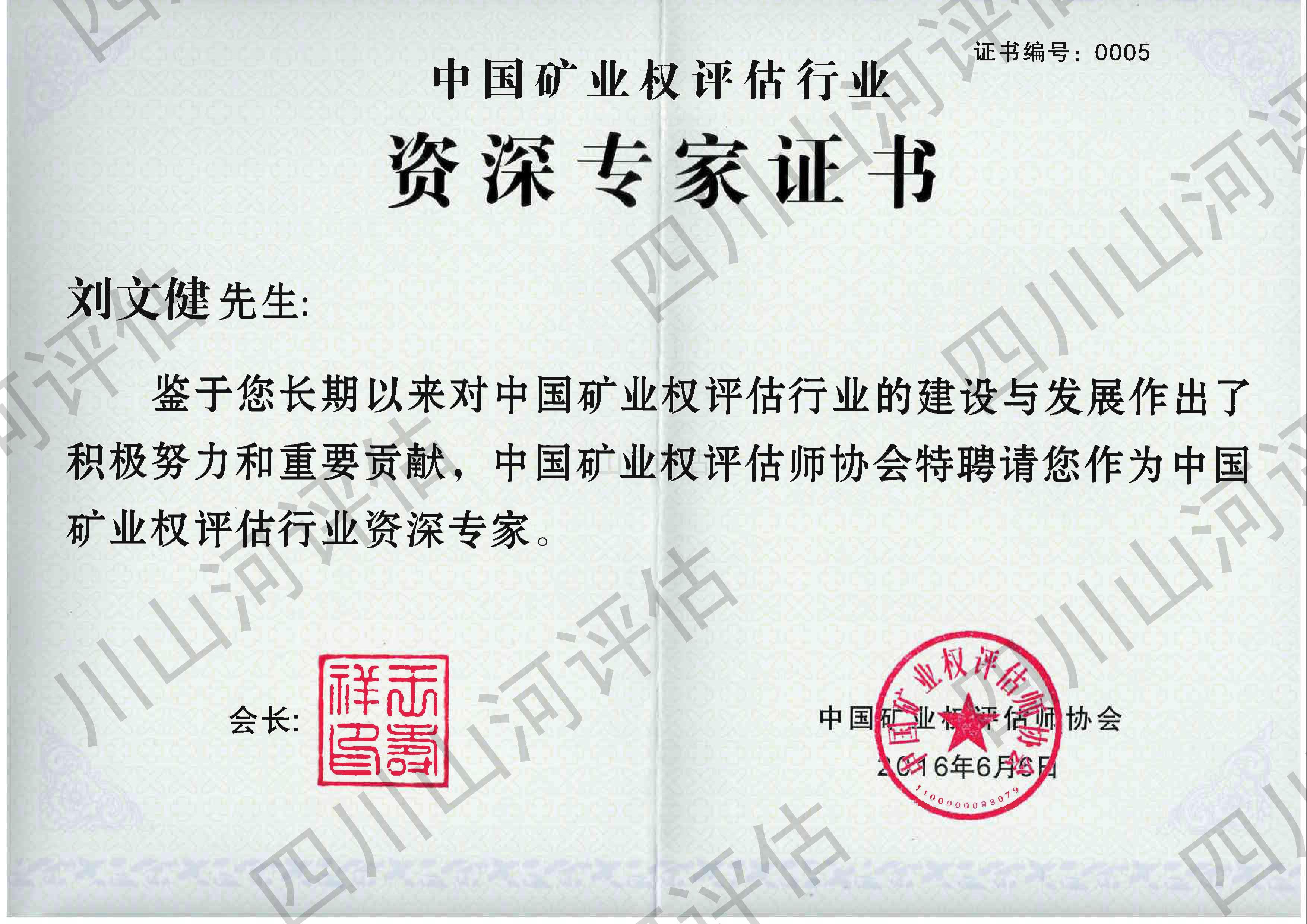 资深专家证书